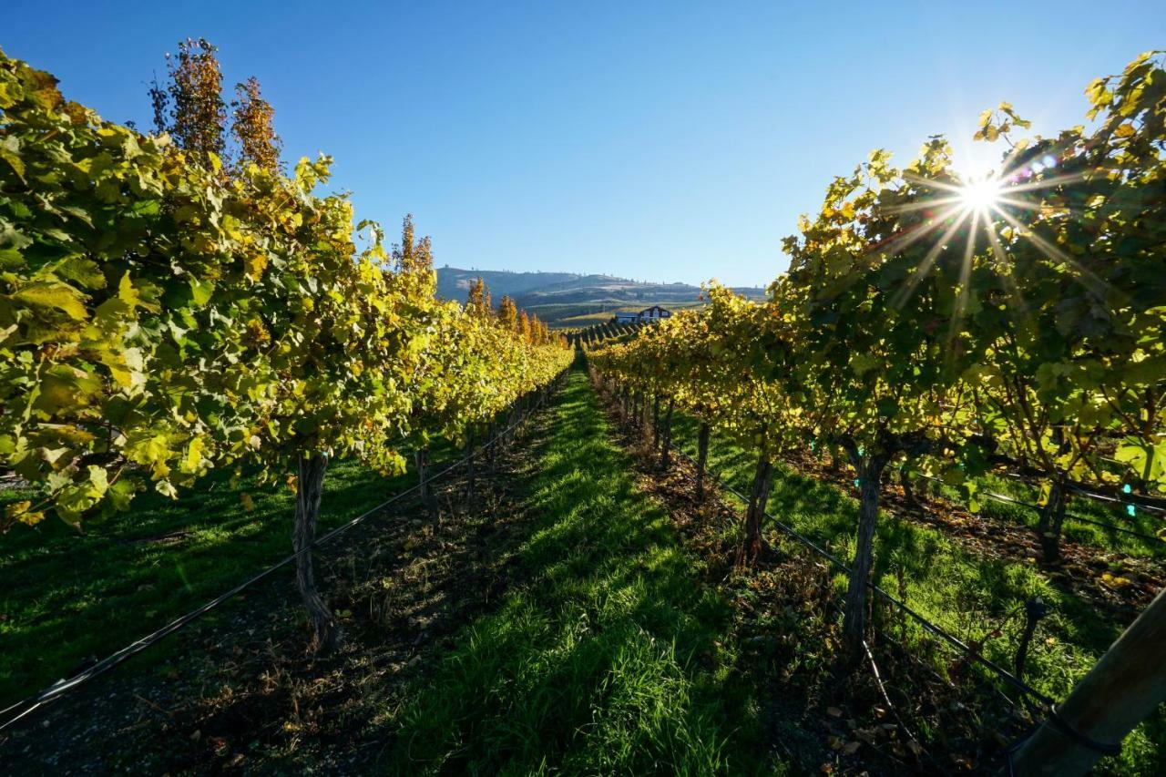 The Vineyards Lodge Челан Екстериор снимка